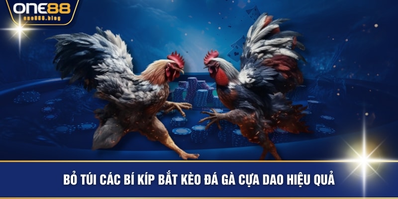 Bỏ túi các bí kíp bắt kèo đá gà cựa dao hiệu quả