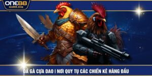 Đá Gà Cựa Dao | Nơi Quy Tụ Các Chiến Kê Hàng Đầu