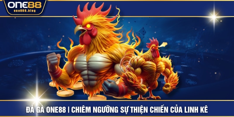 Đá Gà ONE88 | Chiêm Ngưỡng Sự Thiện Chiến Của Linh Kê