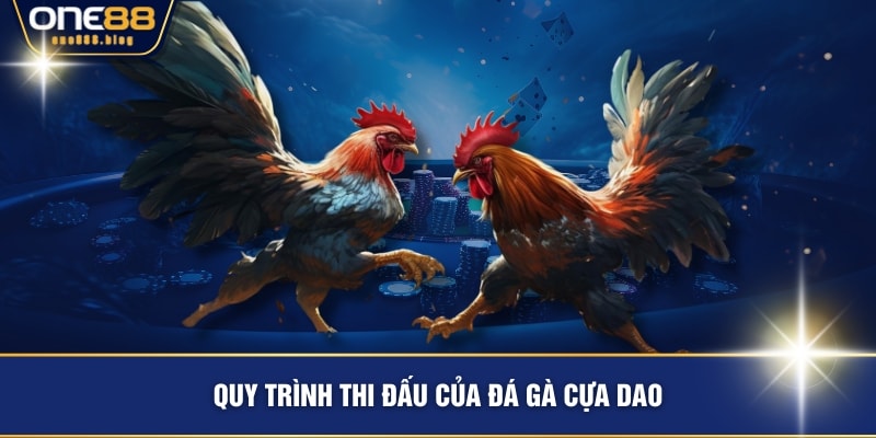 Quy trình thi đấu của đá gà cựa dao